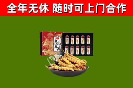 台东县回收冬虫夏草价格